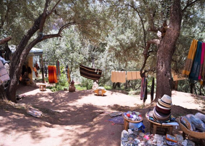 Excursión desde Marrakech